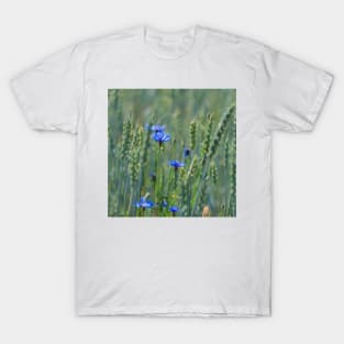 Cornflowers in a wheat field T-Shirt